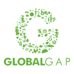 GLOBAL-certified-_1